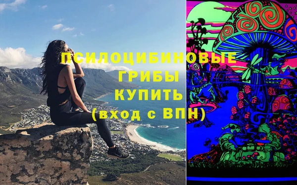 дживик Бугульма