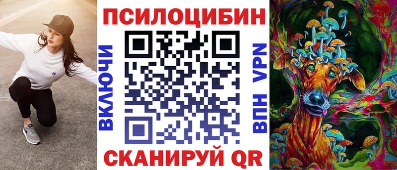 где найти наркотики Волосово Псилоцибиновые грибы GOLDEN TEACHER